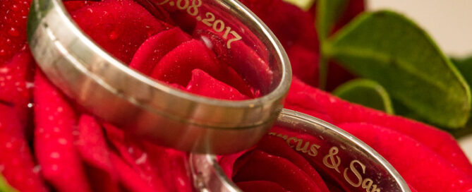 Ringfotos auf Rose